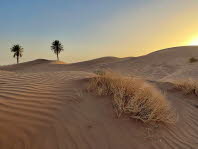 IMG-20230128-WA0008